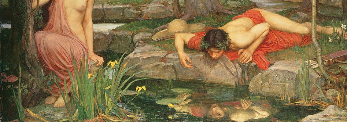 narcissus