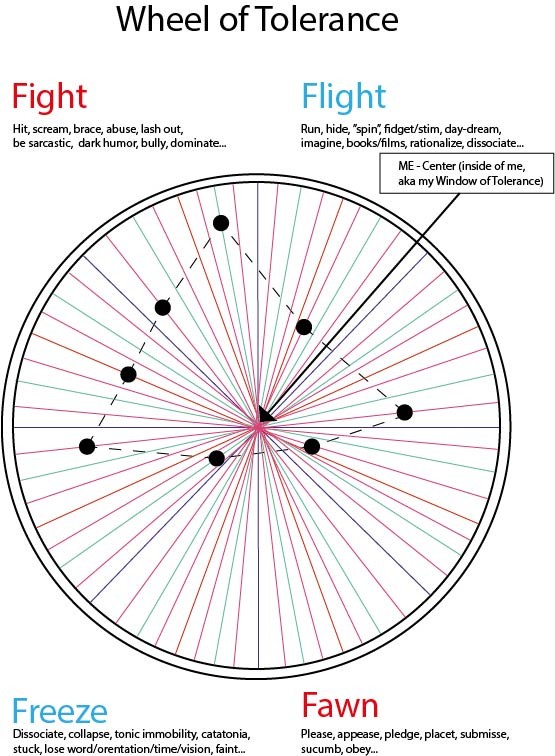 The Wheel of Tolerance - in a stress response