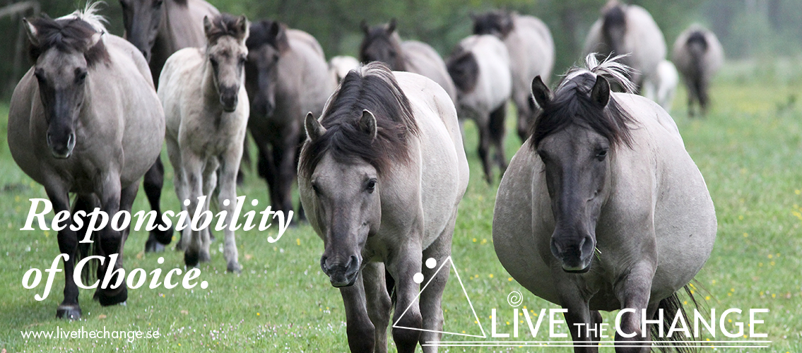 Live the Change - The Responsibility of Choice