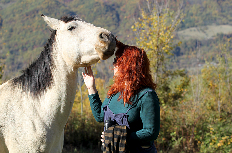 A horse and a woman in sensory exploration
